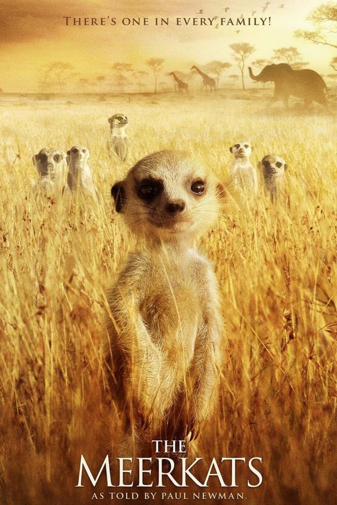 The Meerkats