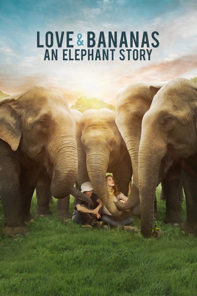 Love & Bananas: An Elephant Story