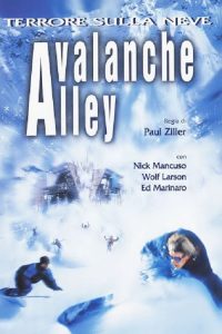 Avalanche Alley