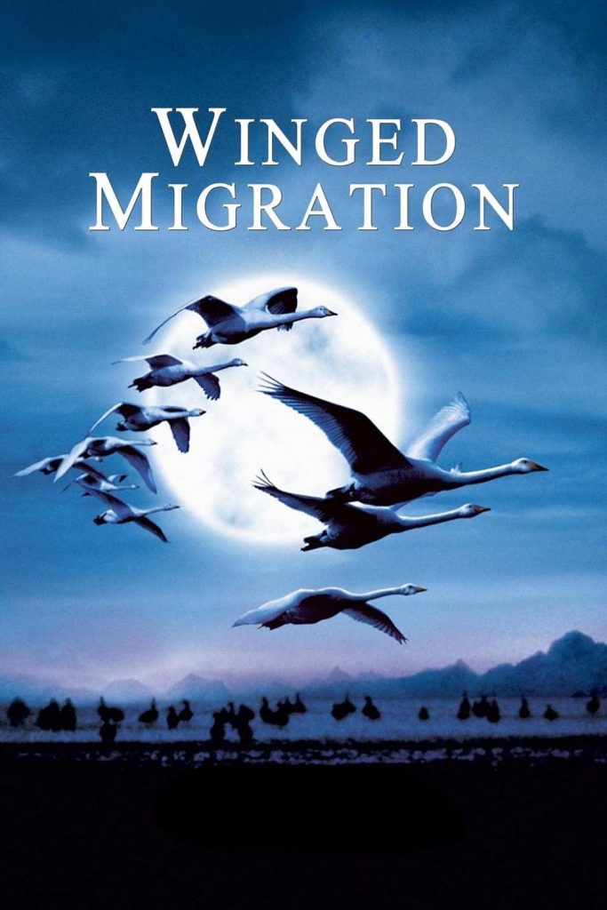 Winged Migration