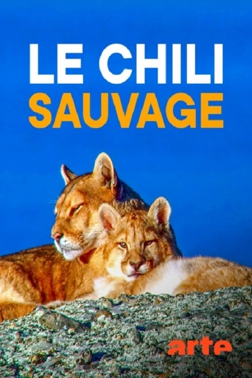 Le Chili sauvage