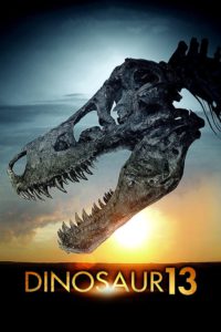 Dinosaur 13