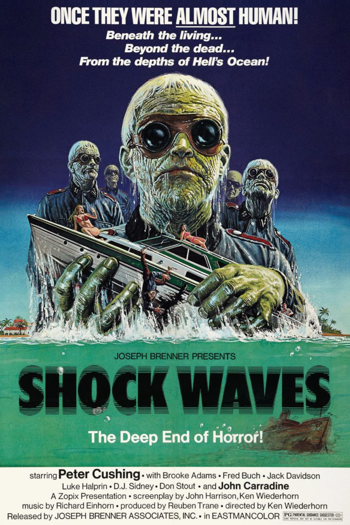 Shock Waves