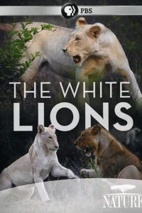 The White Lions