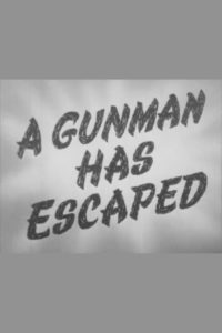 A Gunman Has Escaped