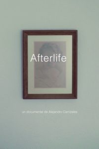 Afterlife