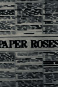 Paper Roses