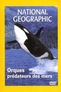 Orcas, Predators of the Seas