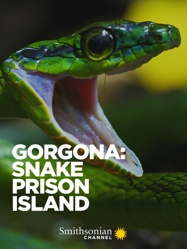 Gorgona: Snake Prison Island