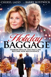 Holiday Baggage