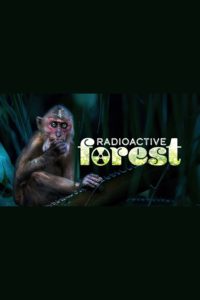 Radioactive Forest: 10 Years After